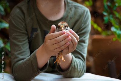image to crop