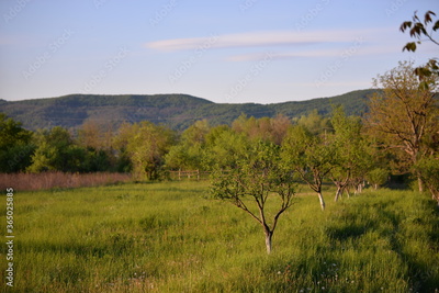 image to crop