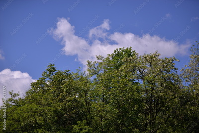 image to crop