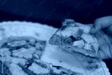 preview cold