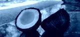 preview cold