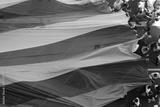 preview bw