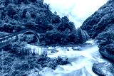 preview cold