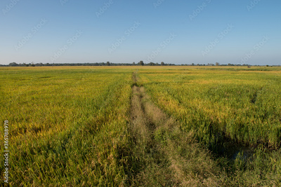 image to crop