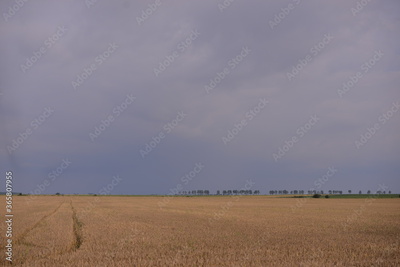 image to crop