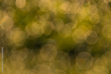 preview original