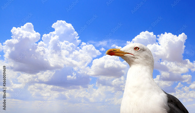 image to crop