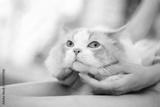 preview bw