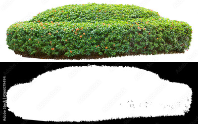 image to crop