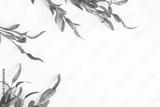 preview bw