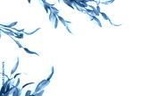 preview cold
