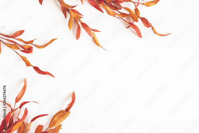 image to crop
