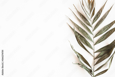 image to crop