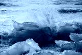 preview cold