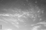 preview bw