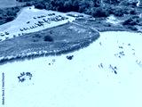 preview cold