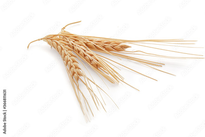 image to crop