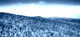 preview cold