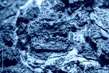 preview cold