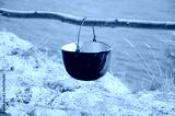 preview cold