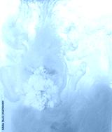 preview cold