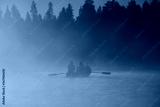 preview cold