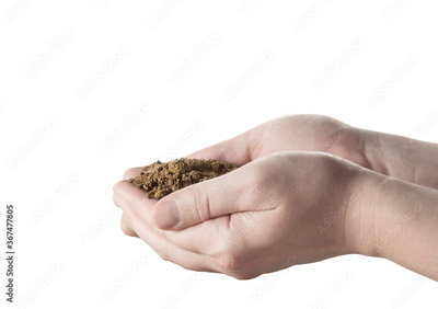 image to crop