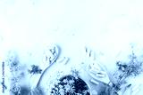 preview cold