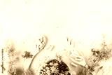 preview sephia