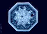 preview cold