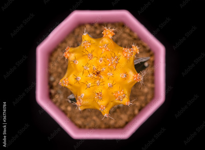 image to crop