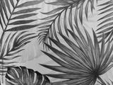 preview bw