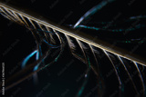 preview original