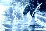 preview cold