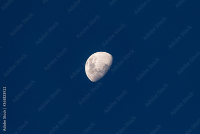 image to crop