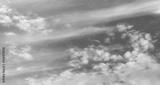 preview bw