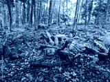 preview cold