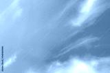 preview cold