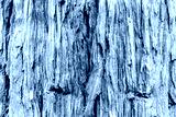 preview cold