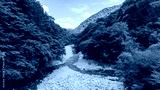 preview cold
