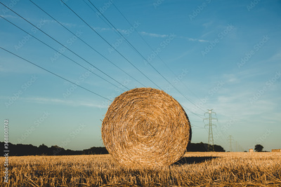 image to crop