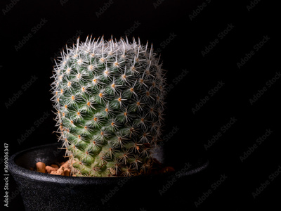 image to crop