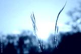 preview cold