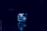 preview cold