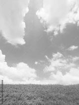 preview bw