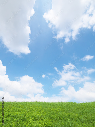 image to crop