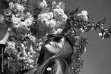 preview bw