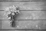 preview bw