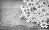 preview bw