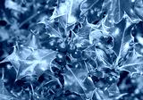 preview cold